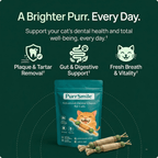 PurrSmile - Clean teeth in seconds with fun play (4 - pack) - PurrSmile