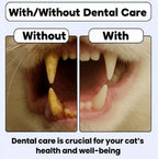 PurrSmile - Clean teeth in seconds with fun play (4 - pack) - PurrSmile