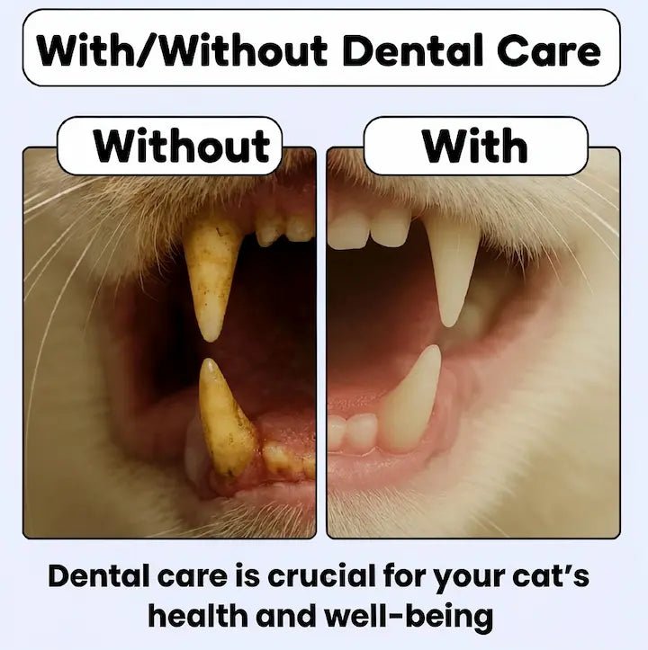 PurrSmile - Clean teeth in seconds with fun play (4 - pack) - PurrSmile