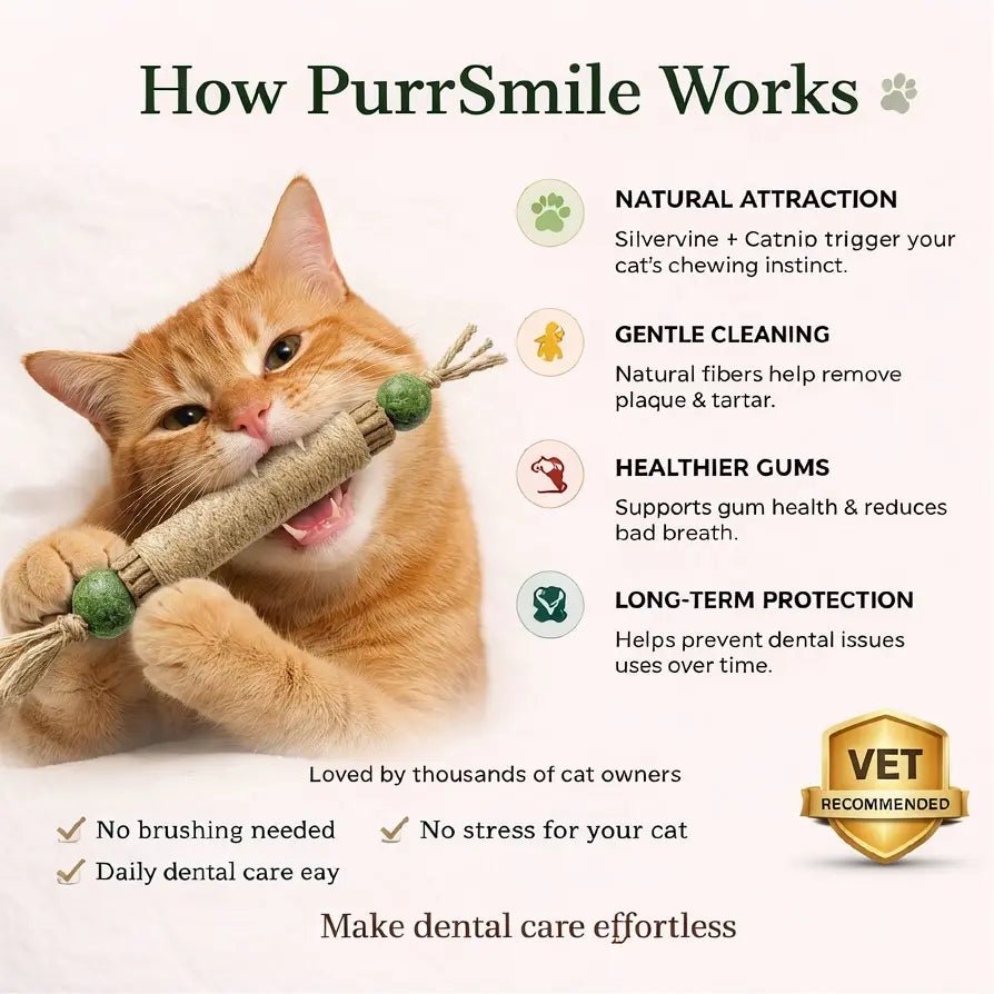 PurrSmile - Clean teeth in seconds with fun play (4 - pack) - PurrSmile