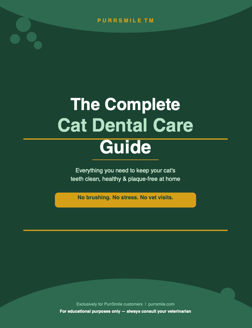 Cat Dental Care Guide (Digital) - PurrSmile