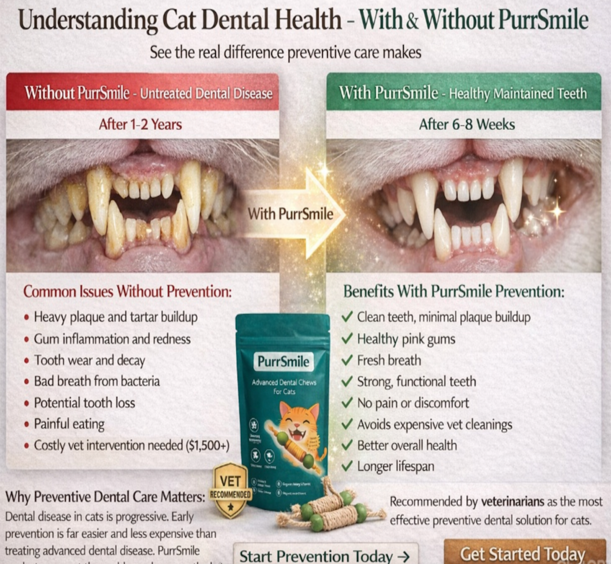 PurrSmile - Clean teeth in seconds with fun play (4-pack)