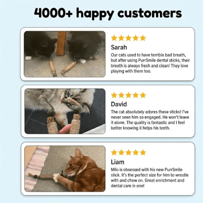 PurrSmile - Clean teeth in seconds with fun play (4 - pack) - PurrSmile