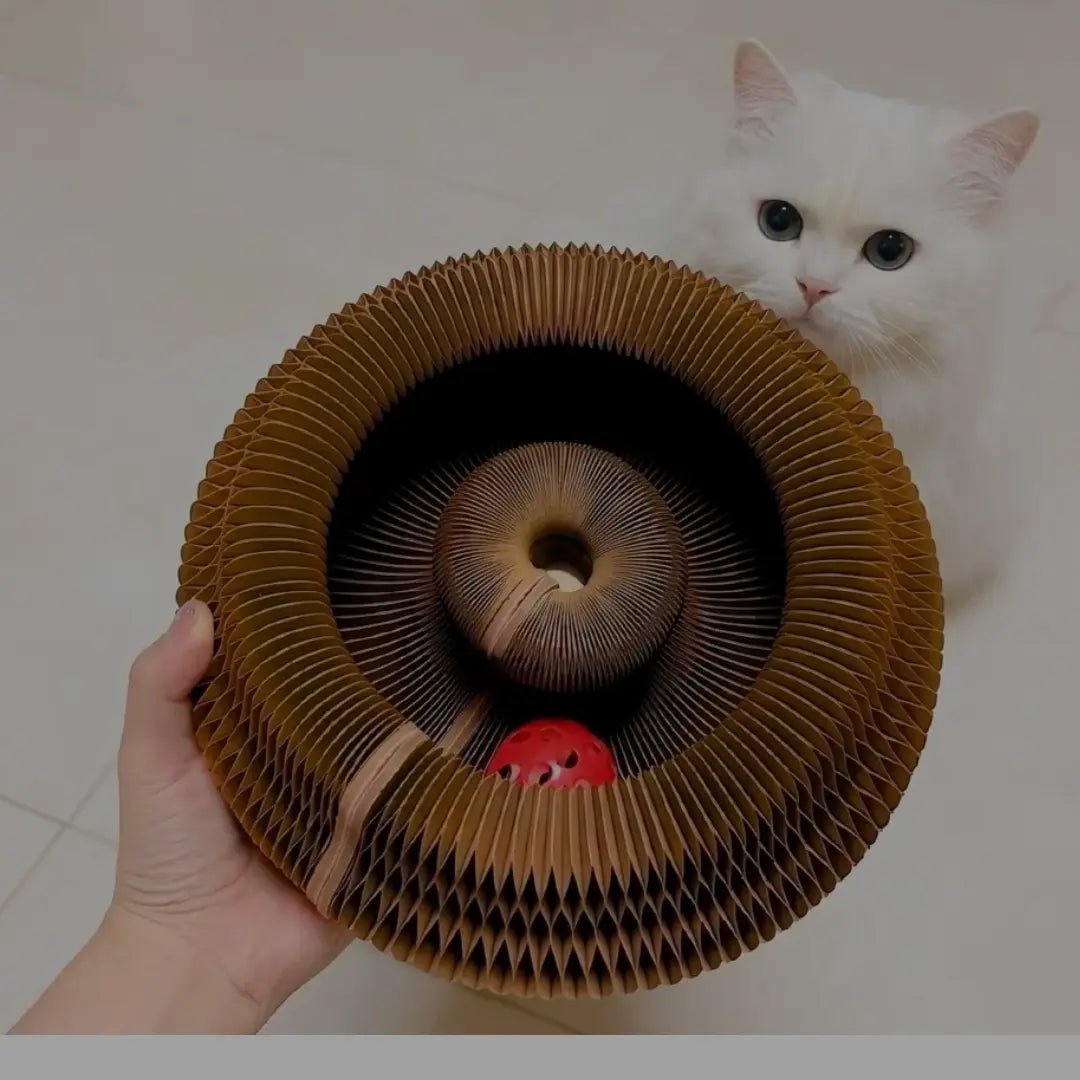 The PurrSmile™ Flexi - Loop - PurrSmile