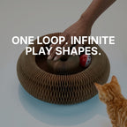 The PurrSmile™ Flexi - Loop - PurrSmile